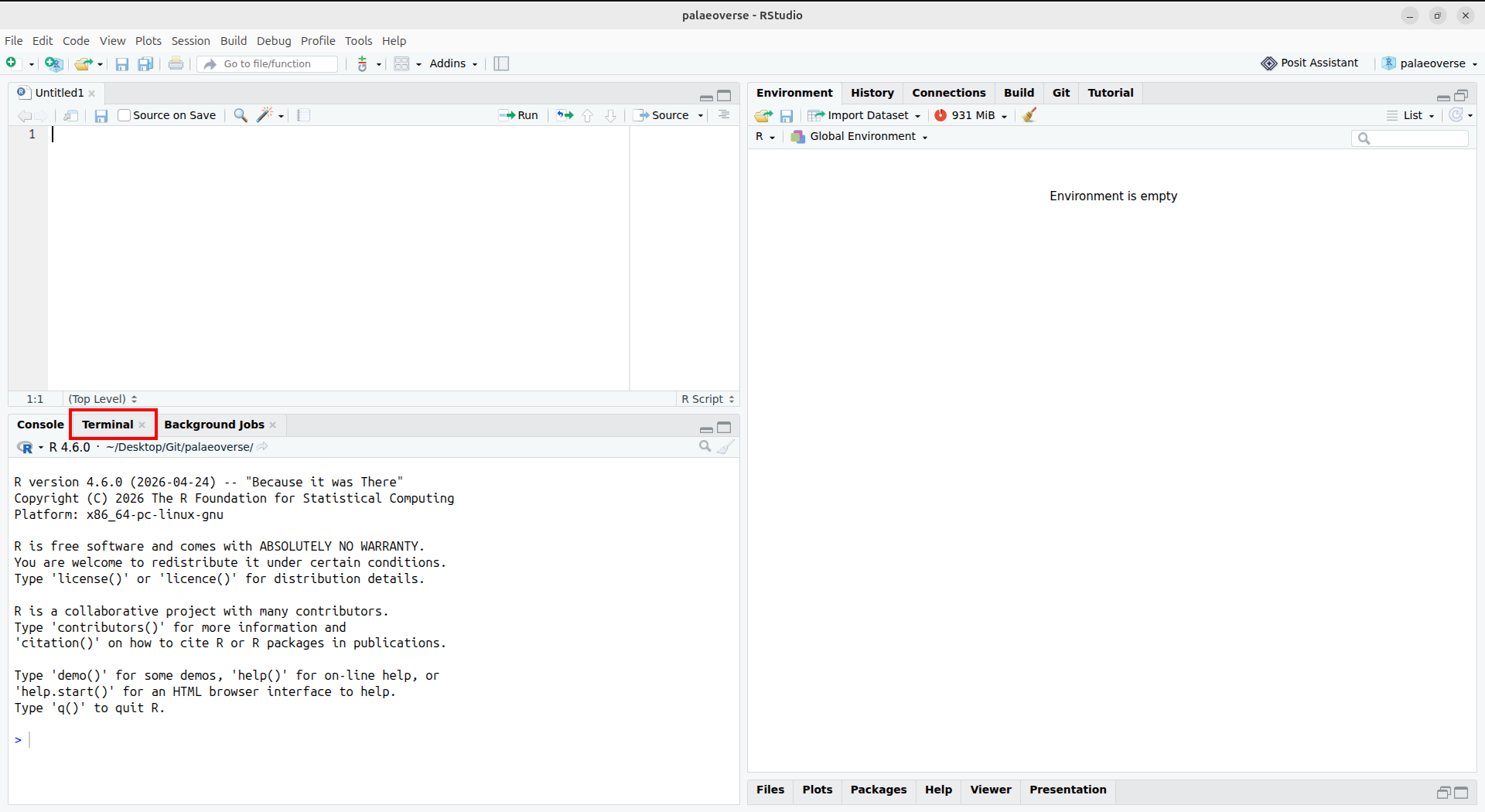 A screenshot of RStudio. On the bottom left section, the 'Terminal' pane (next to the 'Console' pane) is circled in red.